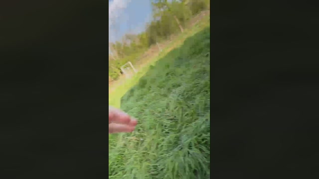 jungergeiler111  03-05-2022
